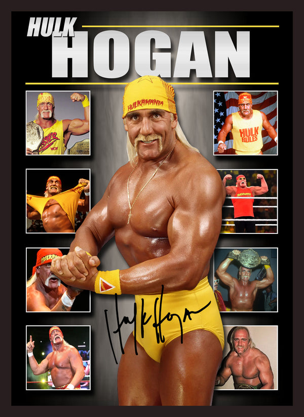 HULK HOGAN WWF WWE Framed Lithograph Memorabilia