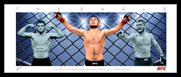 Khabib Nurmagomedov's UFC Wings Tribute Framed
