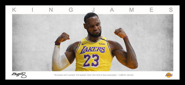 Le Bron James 'KING JAMES' Wings framed.