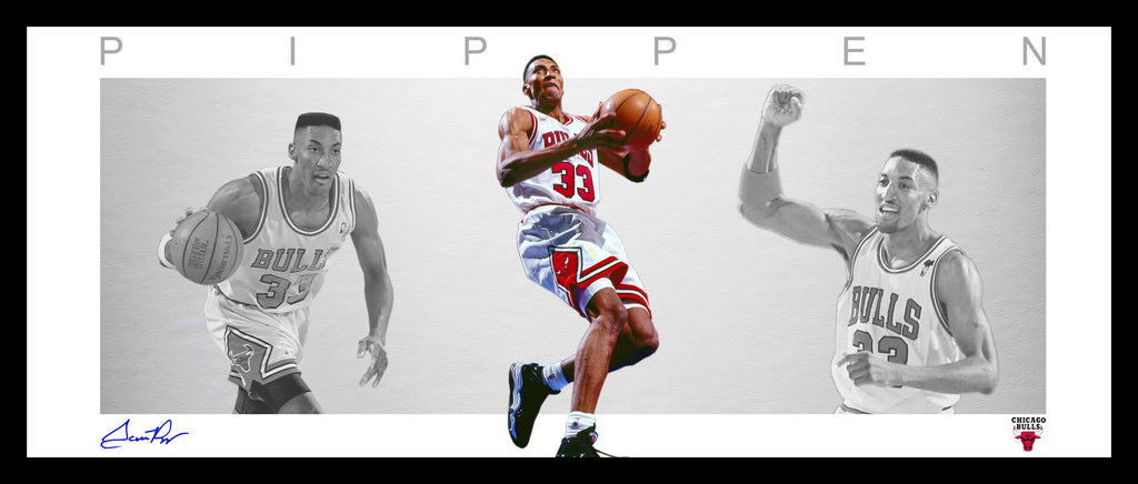 Scottie PIPPEN Chicago Bulls WINGS Tribute Framed