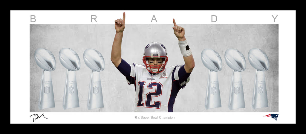 Tom Brady New England Patriots Framed WINGS