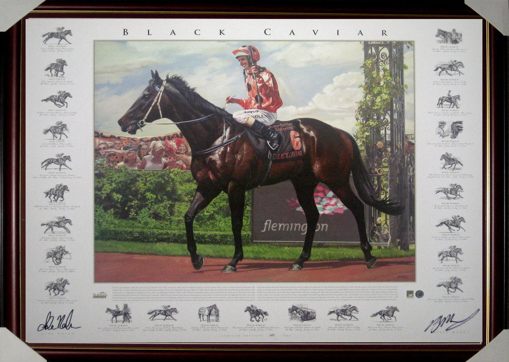 Horse Racing - Black Caviar Fine Art Print - Signed & Framed Limited Edition